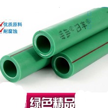 鲸鸿动能：以“陪伴式生态”重塑大健康营销