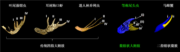 终于适配原生鸿蒙!网易云音乐鸿蒙版官宣9月见
