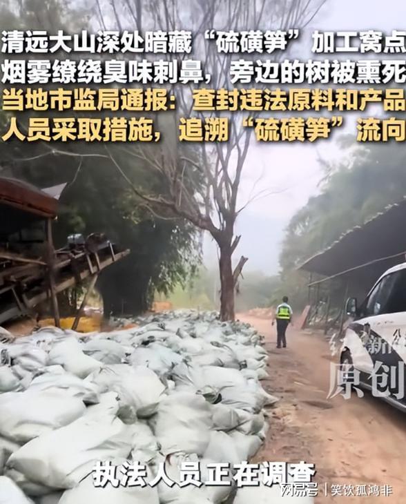 光伏为唯一能量来源!全球首座零碳离网光储换电站投运